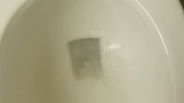 UNCLOGGED TOILET